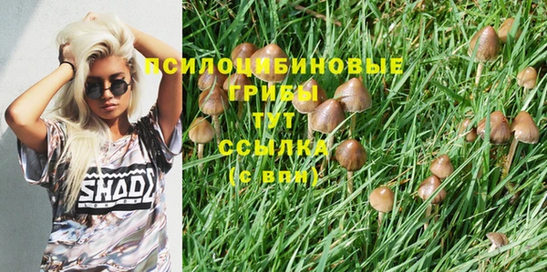 амфетамин Гусиноозёрск