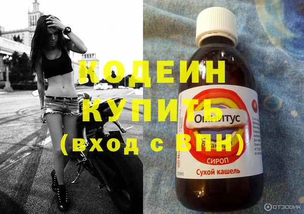 ГАЛЛЮЦИНОГЕННЫЕ ГРИБЫ Осташков