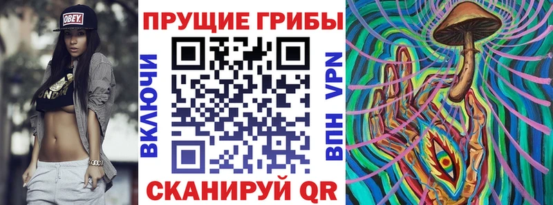 купить закладку  Приморск  Псилоцибиновые грибы Psilocybine cubensis 
